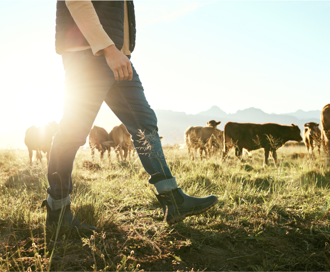 farm hub benefits