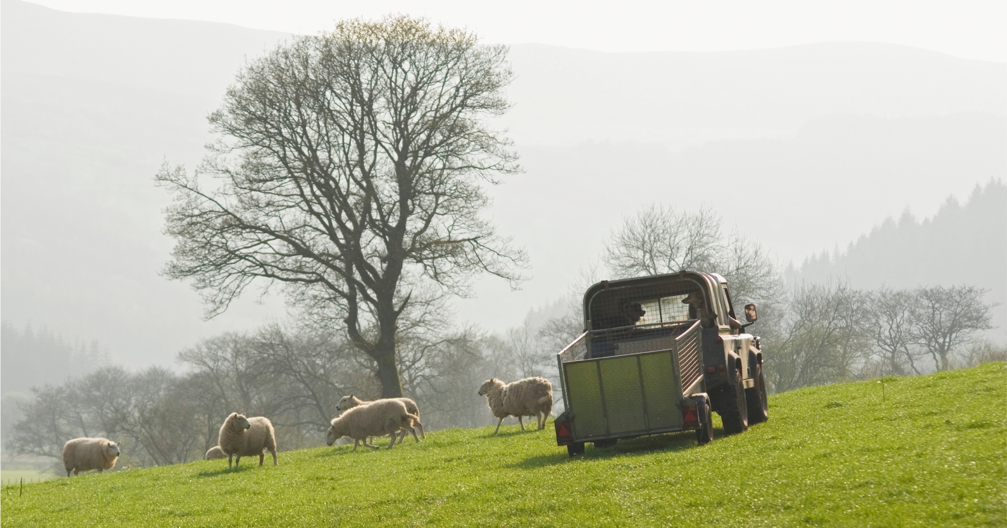 Regenerating Supply Chains