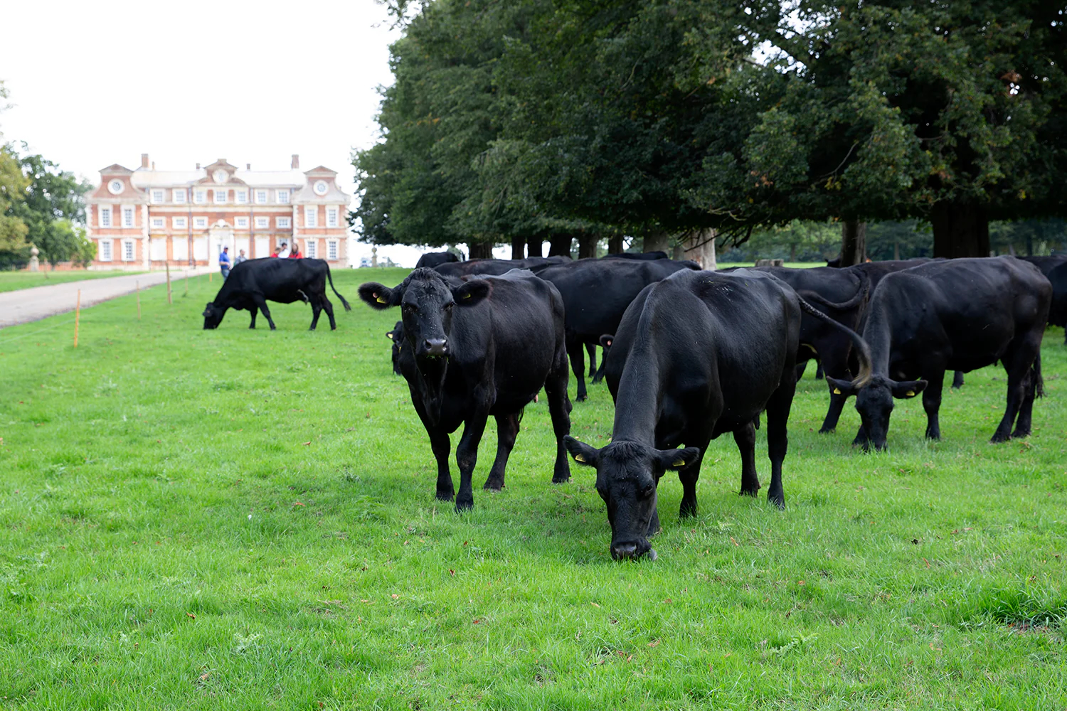 Farm Image