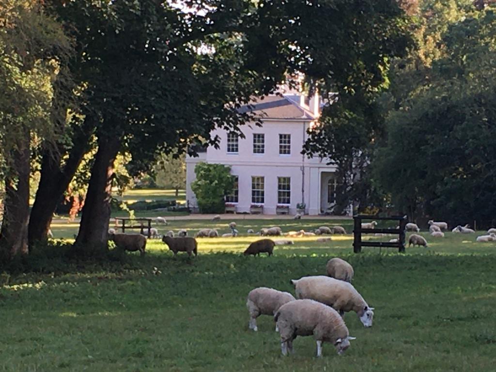 Hildersham Hall Farm